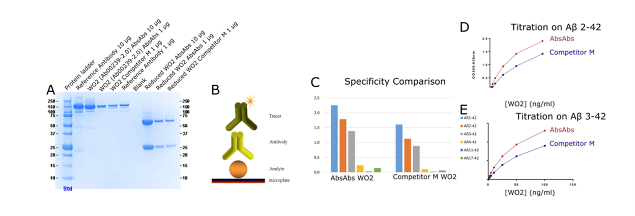Western Blot showing high purity of recombinant WO2 clone compared to competitor M hybridoma derived antibodies, graphs showing higher specificity of recombinant antibody compared to competitor M, and binding curves of recombinant WO2 antibody showing higher activity than competitor M.